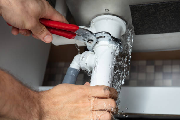 Best Basement water damage restoration  in Forsyth, IL