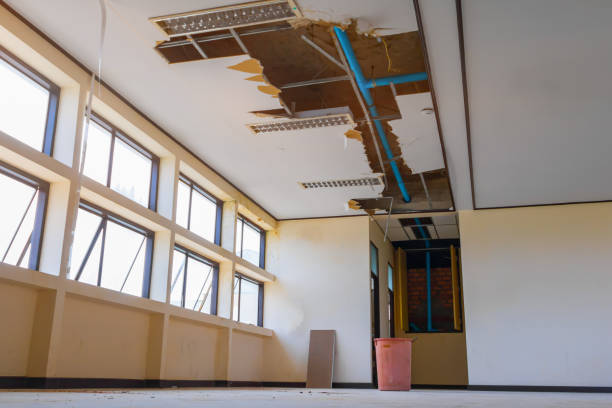 Best Water damage restoration near me  in Forsyth, IL
