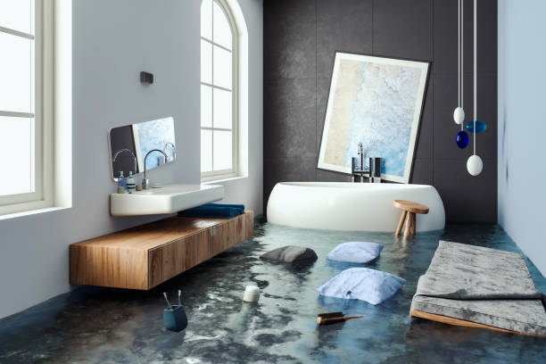 Best Water damage cleanup near me  in Forsyth, IL