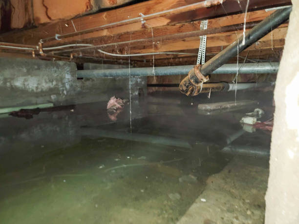 Best 24-hour water damage restoration  in Forsyth, IL