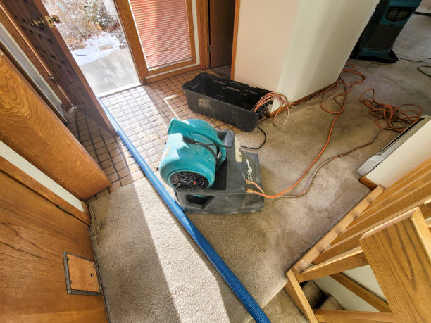 Best Water damage cleanup near me  in Forsyth, IL
