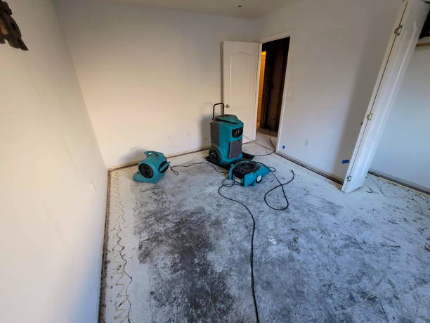 Best Flooded house restoration  in Forsyth, IL