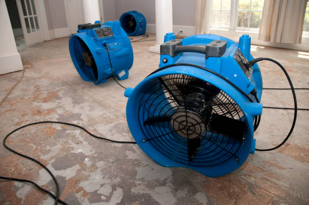Best Fire Damage Restoration  in Forsyth, IL