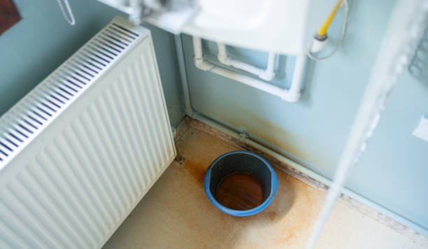 Best Flooded house restoration  in Forsyth, IL