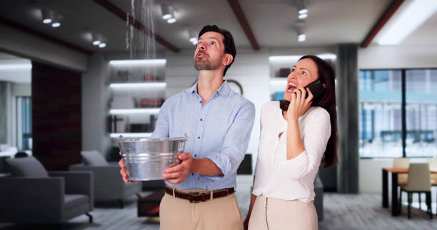 Best Water damage restoration near me  in Forsyth, IL